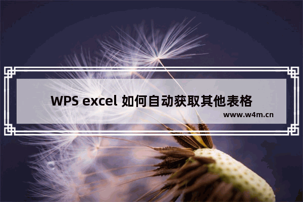 WPS excel 如何自动获取其他表格数据