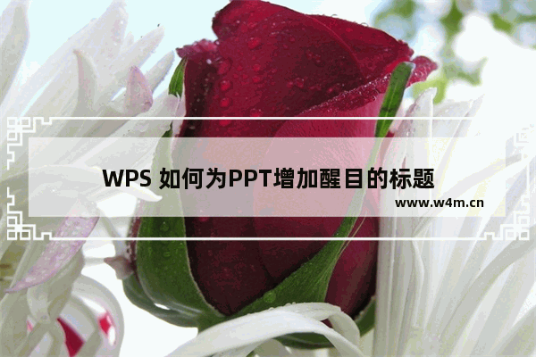 WPS 如何为PPT增加醒目的标题