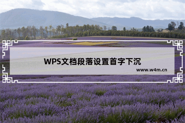 WPS文档段落设置首字下沉