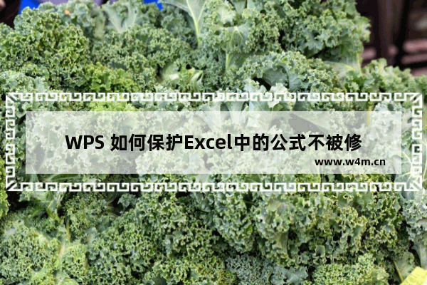 WPS 如何保护Excel中的公式不被修改