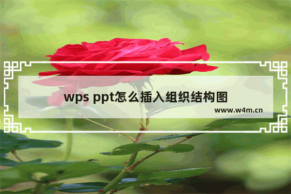 wps ppt怎么插入组织结构图