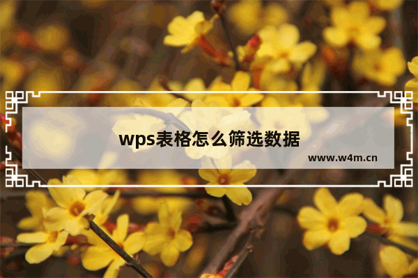 wps表格怎么筛选数据