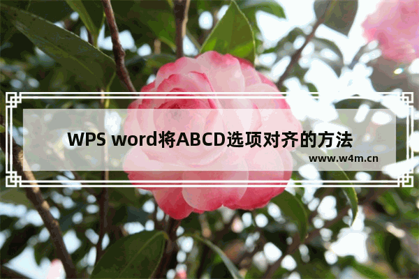 WPS word将ABCD选项对齐的方法