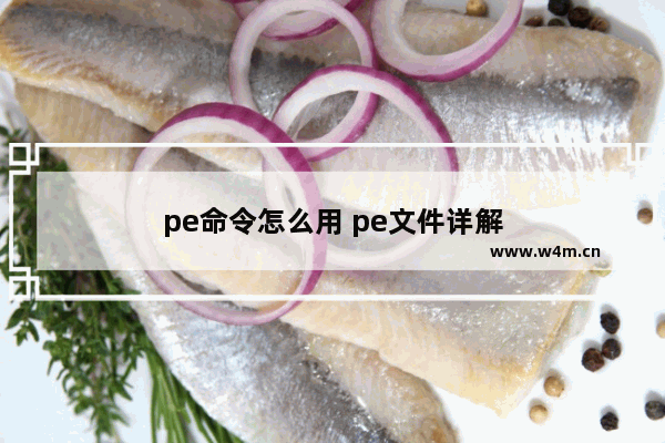 pe命令怎么用 pe文件详解