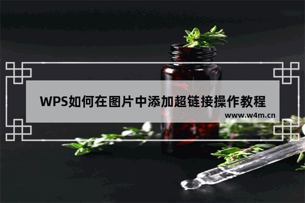 WPS如何在图片中添加超链接操作教程