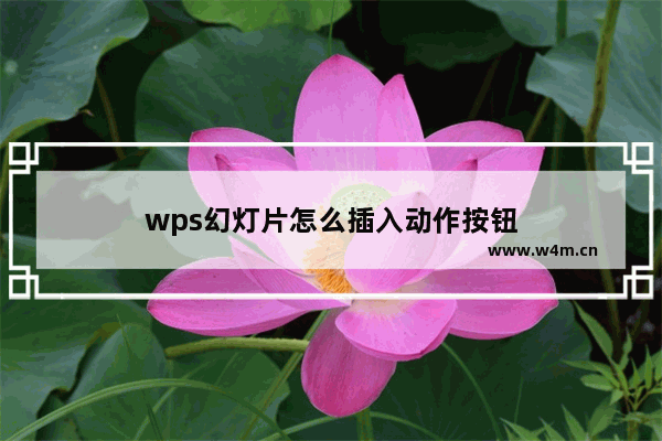 wps幻灯片怎么插入动作按钮