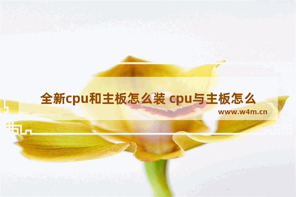 全新cpu和主板怎么装 cpu与主板怎么安装