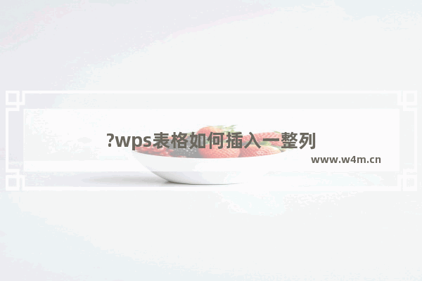 ?wps表格如何插入一整列