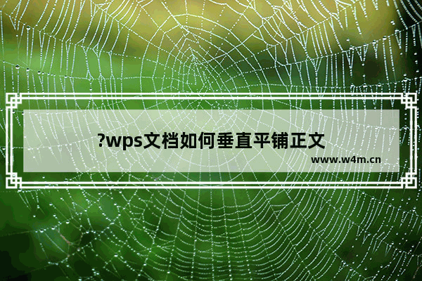 ?wps文档如何垂直平铺正文