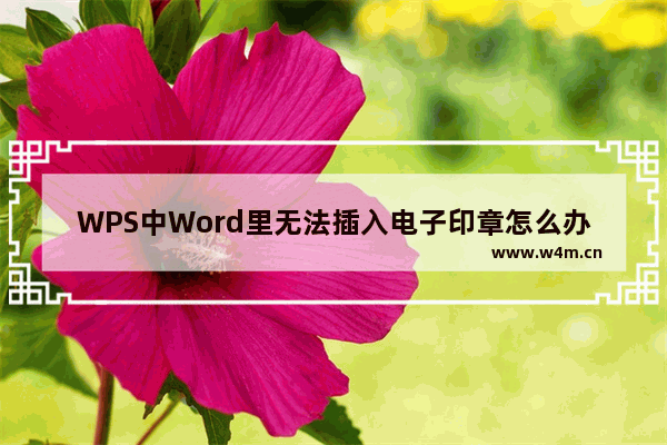 WPS中Word里无法插入电子印章怎么办