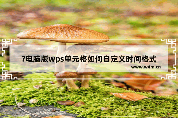 ?电脑版wps单元格如何自定义时间格式