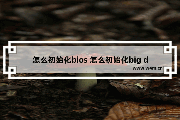 怎么初始化bios 怎么初始化big decimal数组长度和值全部为0