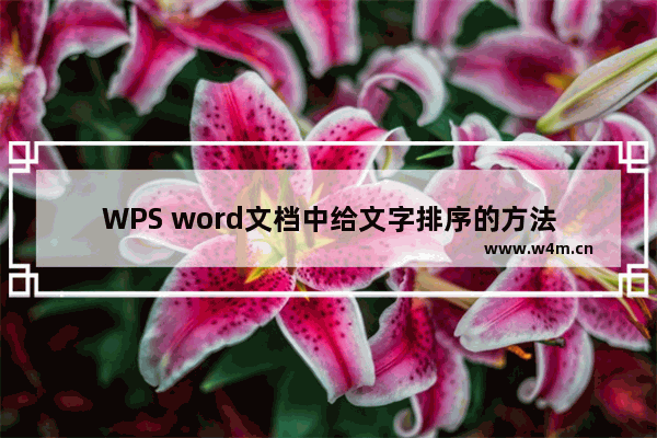 WPS word文档中给文字排序的方法