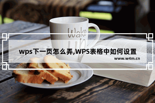 wps下一页怎么弄,WPS表格中如何设置下一页