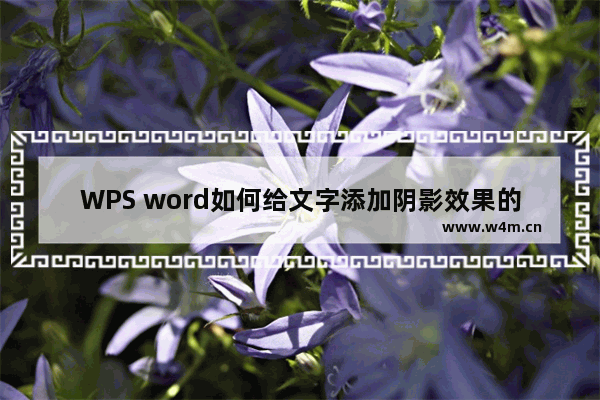 WPS word如何给文字添加阴影效果的方法