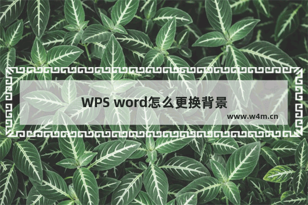 WPS word怎么更换背景