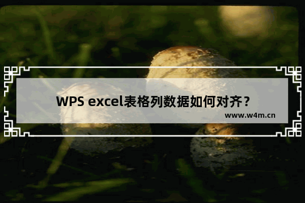 WPS excel表格列数据如何对齐？