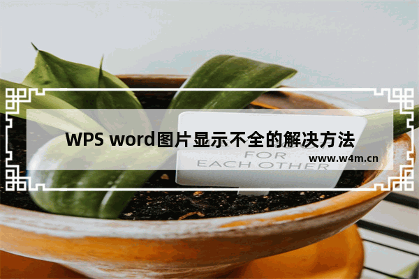 WPS word图片显示不全的解决方法