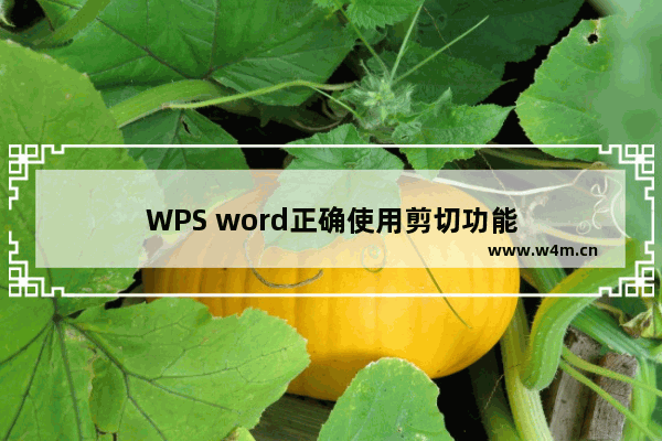 WPS word正确使用剪切功能