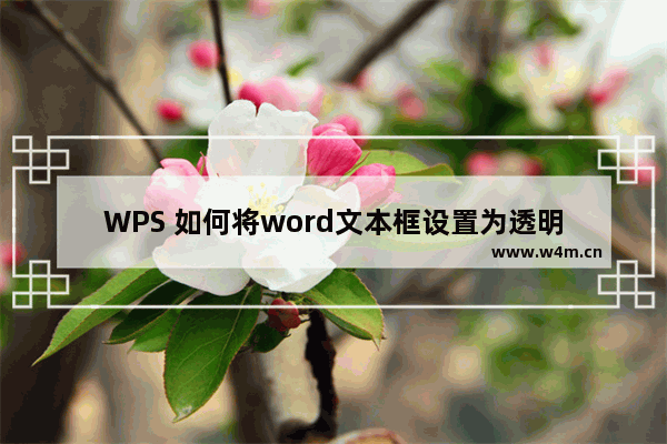 WPS 如何将word文本框设置为透明