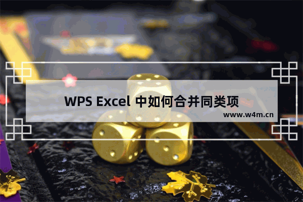 WPS Excel 中如何合并同类项