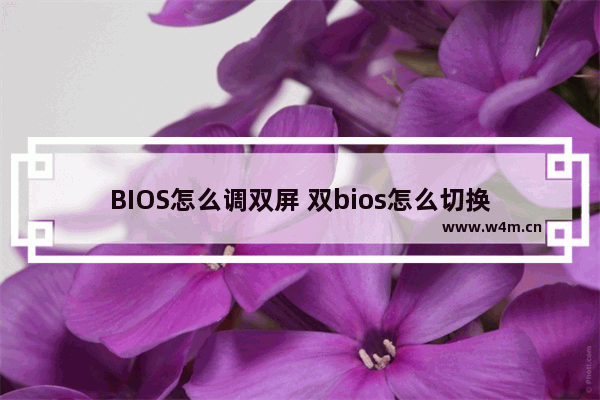 BIOS怎么调双屏 双bios怎么切换