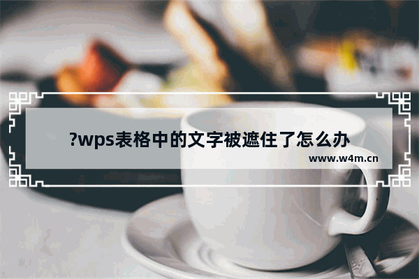 ?wps表格中的文字被遮住了怎么办