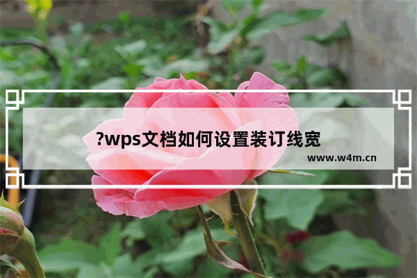 ?wps文档如何设置装订线宽