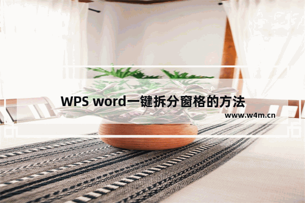 WPS word一键拆分窗格的方法