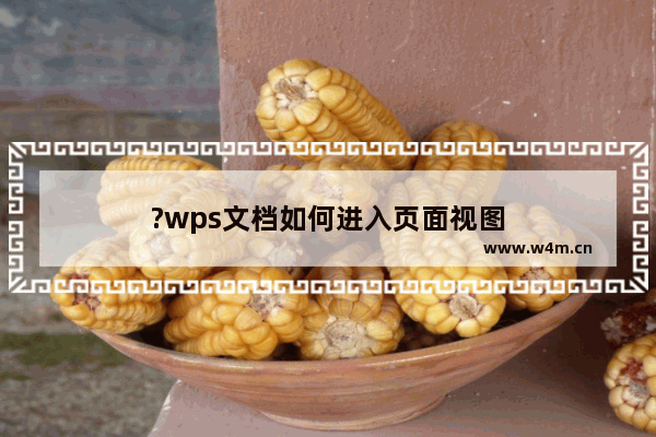 ?wps文档如何进入页面视图