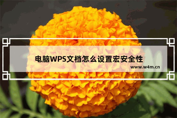 电脑WPS文档怎么设置宏安全性