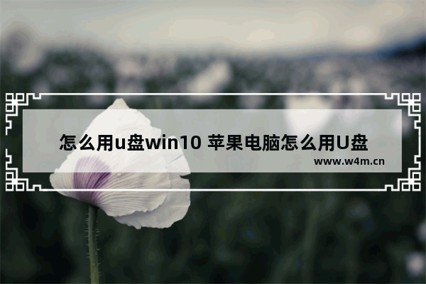 怎么用u盘win10 苹果电脑怎么用U盘