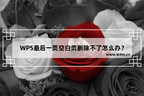 WPS最后一页空白页删除不了怎么办？