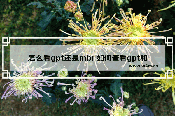 怎么看gpt还是mbr 如何查看gpt和mbr