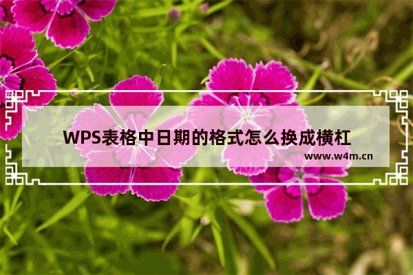 WPS表格中日期的格式怎么换成横杠