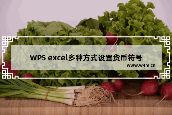 WPS excel多种方式设置货币符号