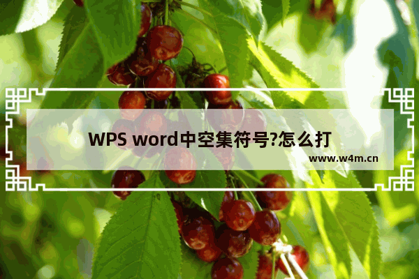 WPS word中空集符号?怎么打