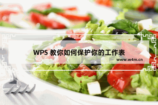 WPS 教你如何保护你的工作表