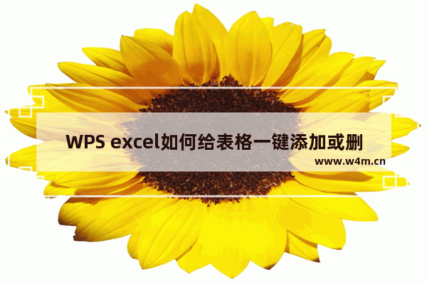 WPS excel如何给表格一键添加或删除边框