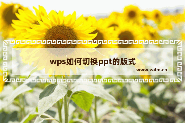 wps如何切换ppt的版式