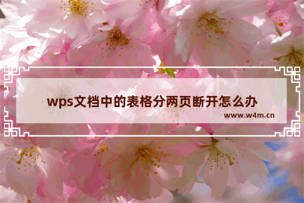 wps文档中的表格分两页断开怎么办