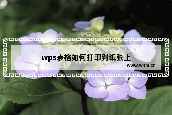 wps表格如何打印到纸张上