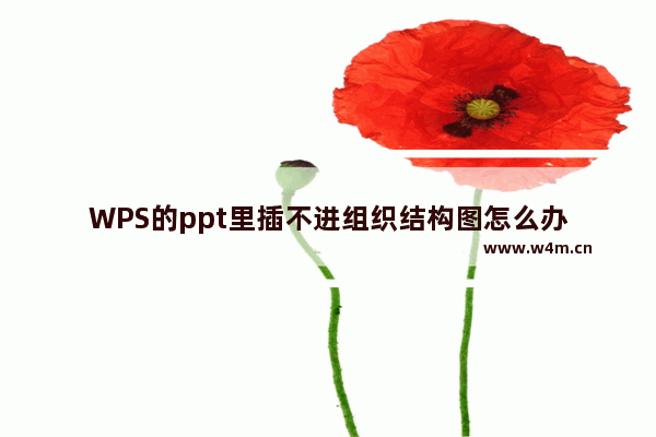 WPS的ppt里插不进组织结构图怎么办