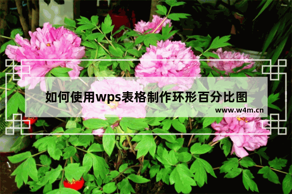 如何使用wps表格制作环形百分比图