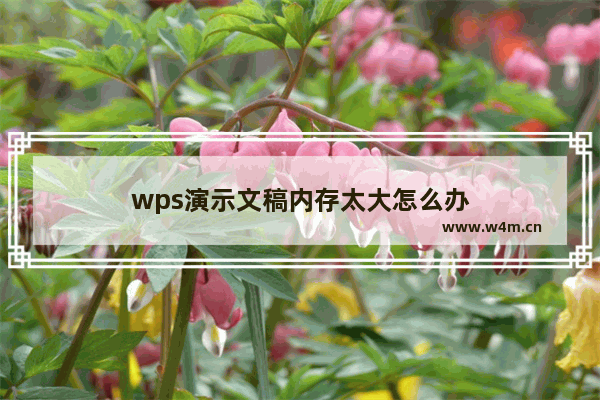 wps演示文稿内存太大怎么办