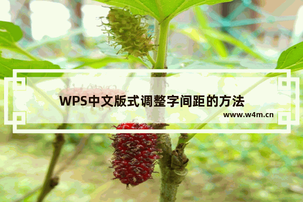 WPS中文版式调整字间距的方法