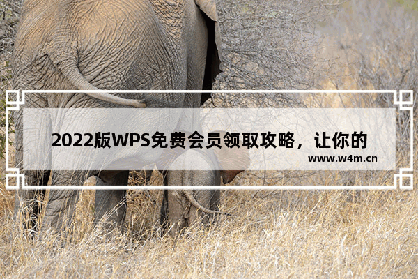 2022版WPS免费会员领取攻略，让你的WPS更好用