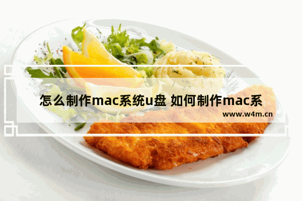 怎么制作mac系统u盘 如何制作mac系统安装u盘