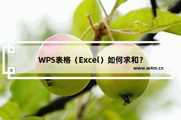 WPS表格（Excel）如何求和？