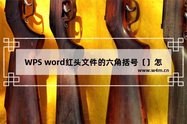 WPS word红头文件的六角括号〔〕怎么打